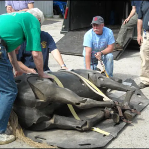 Equine Rescue Training 3 